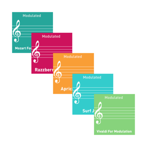 Starter Series - School Age/Adult 2 - Regulation & Engagement & Rhythmicity
