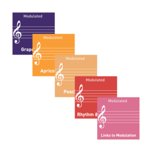 Starter Series - Preschool 2 - Regulation & Engagement & Rhythmicity