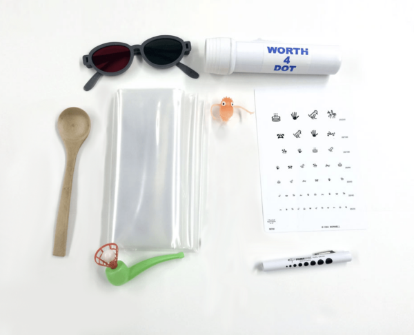 Eyesight to Insight Vision Kit
